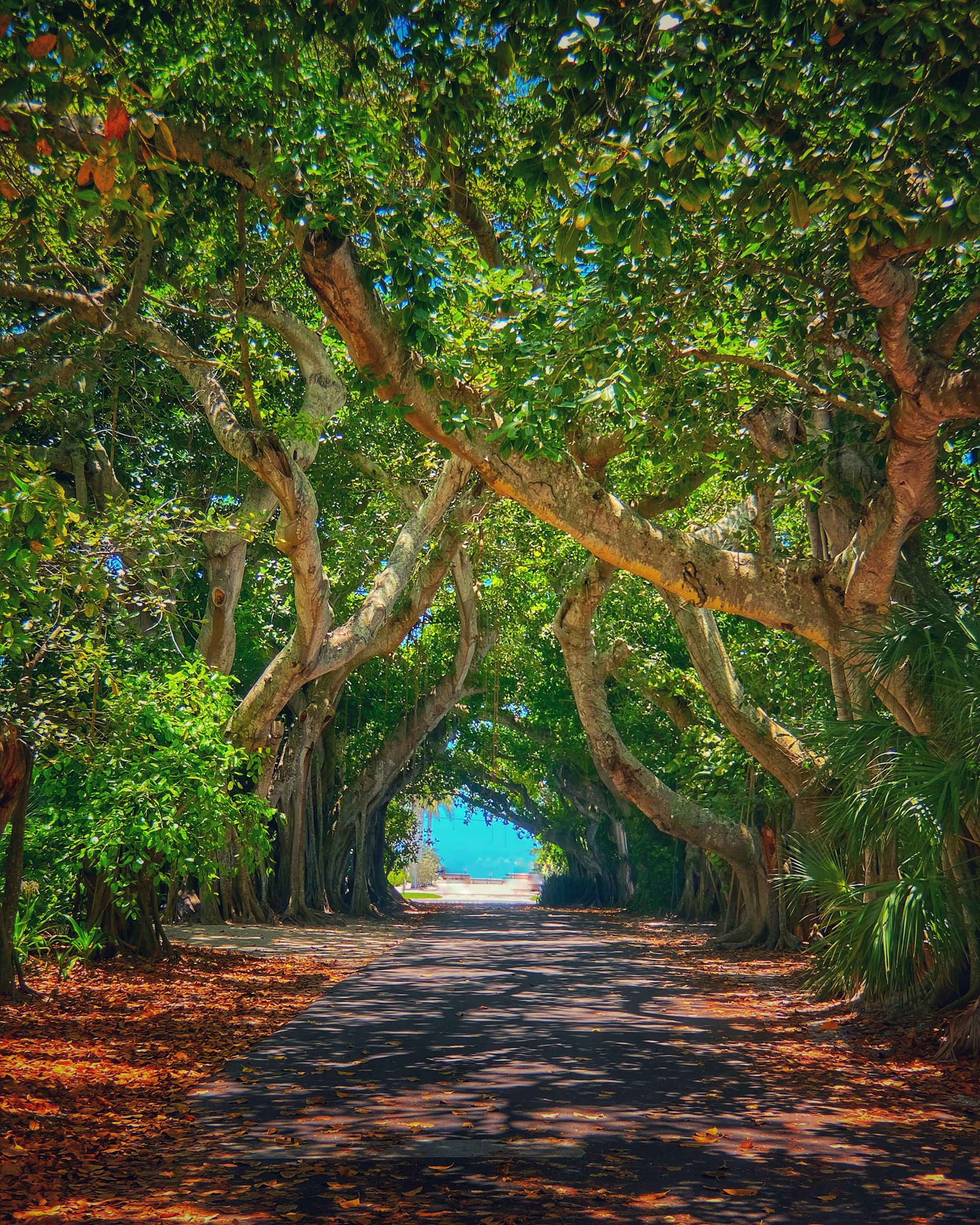 Boca Grande Florida Beach